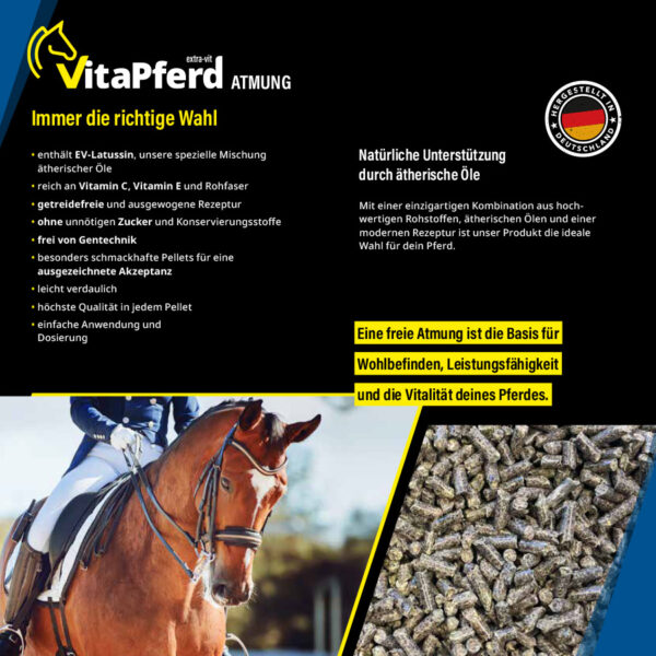 VitaPferd Atmung - Immer die richtige Wahl