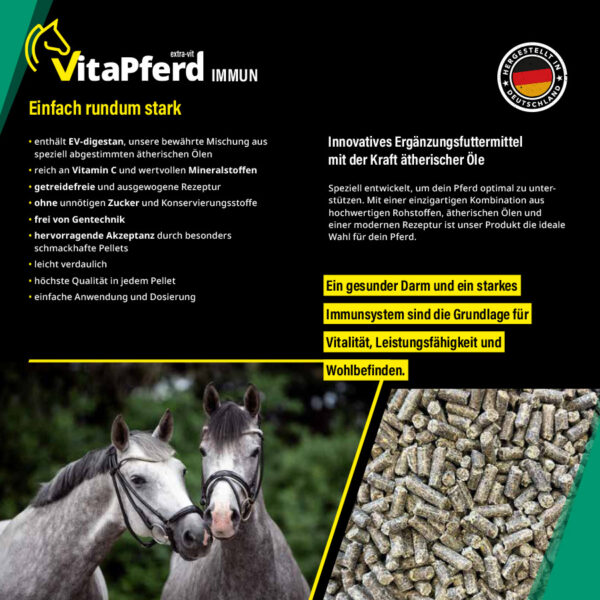 VitaPferd Immun - Einfach rundum stark
