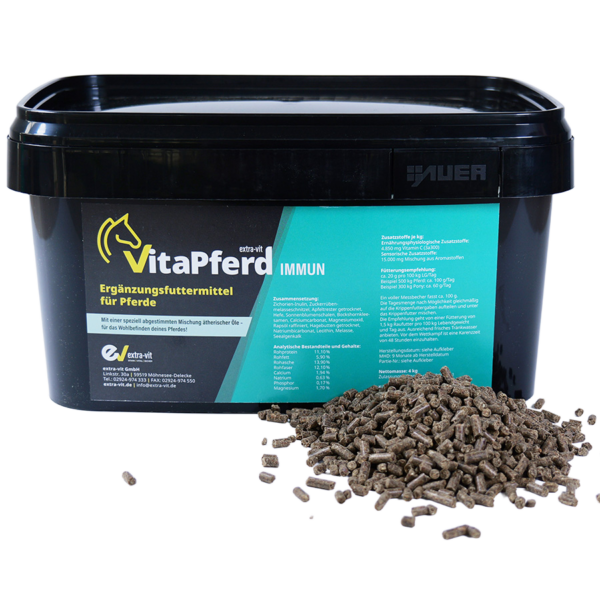 VitaPferd Immun ist ein Ergänzungsfuttermittel zur natürlichen Unterstützung des Immunsystems bei Pferden – ideal zur Vorbeugung oder zur Regeneration nach Krankheit, Stress oder Wetterumschwüngen.